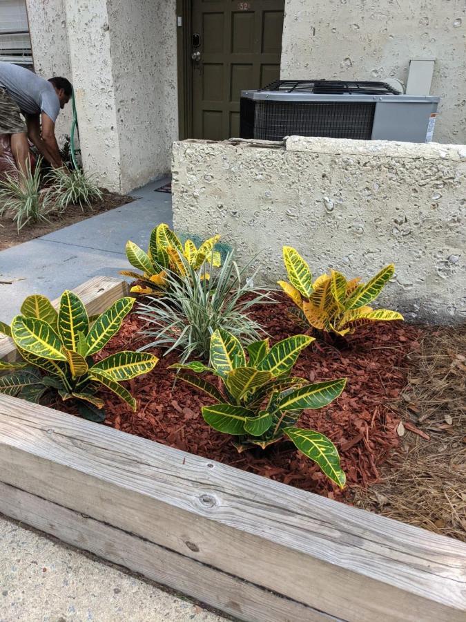 הילטון הד איילנד Hhi Homes Llc מראה חיצוני תמונה